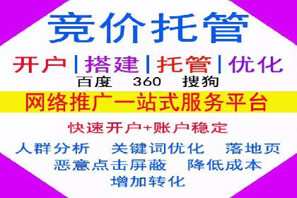 顶尖SEM竞价代运营公司案例分析